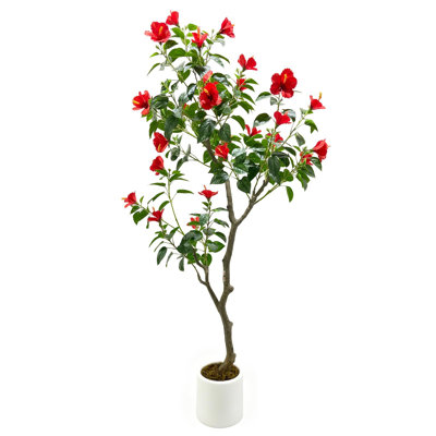 Arrangement