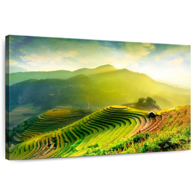 Alvord Sunlit Rice Terraces Fields