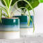 Nicola Spring - Reactive Glaze Plant Pots - 2 Sizes-63880973