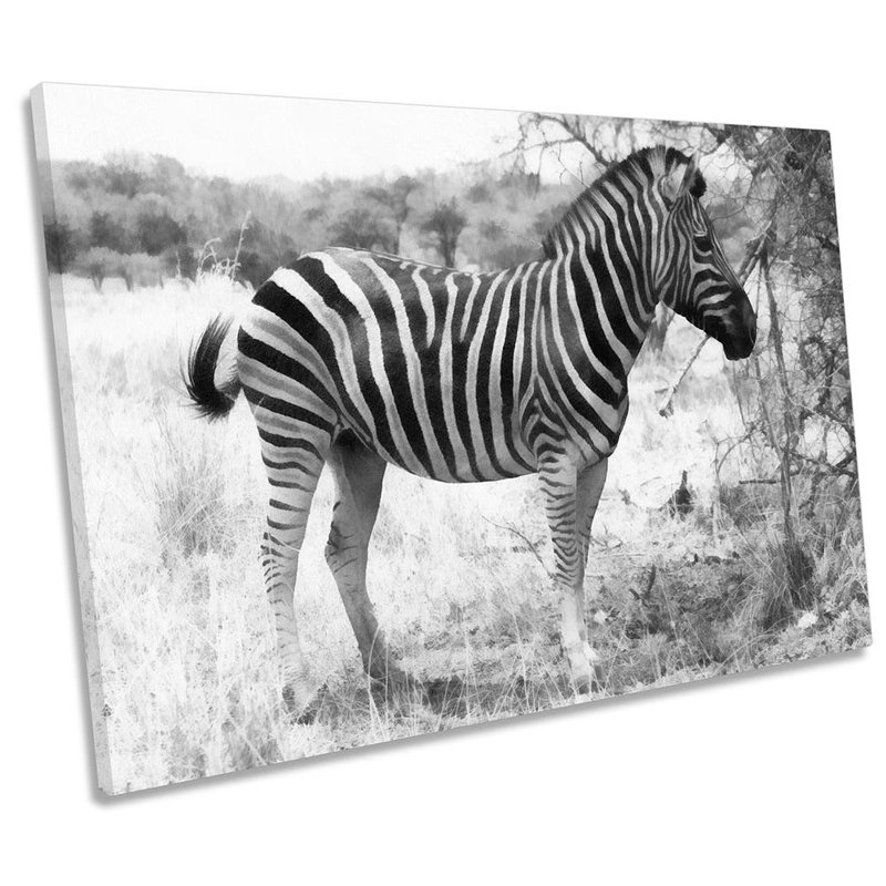 Zebra Animal Stripes - Wrapped Canvas Print, 40.6cm H x 61cm W