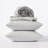Refined Organic Percale Percale Sheet Set-51960905-17548832