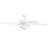Belmar 52'' Ceiling Fan with LED Light-1106987176