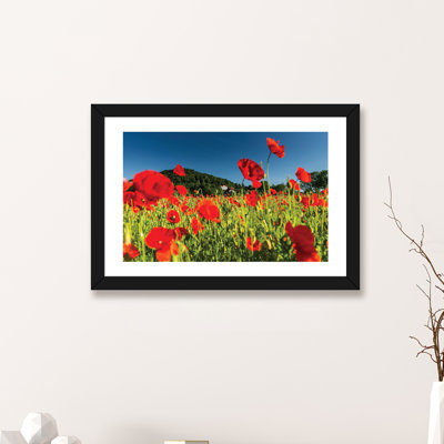 Poland, Poppy Field by Mikolaj Gospodarek - Photograph