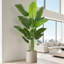 Arbre de paradis artificiel 6,5 pi en pot de ciment noir - grande plante tropicale artificielle pour la décoration de plancher intérieur (sans pot)-1131895827-1131895831