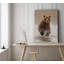 «Bears at Play II», reproduction de photo sur toile tendue-31597516