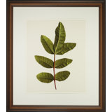 A Little Piece Of Nature V Print