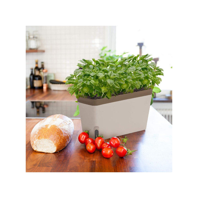 Creation Window Herb Planter Box,Vibrant Window Herb Garden,Self-Watering Rectangular Planter For Kitchen,Plants,And Succulents - Set Of 3,Orange,Green,3D X 9W X 5.5H