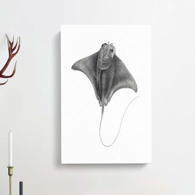 Illustration Of A Ray Fish - Wrapped Canvas Print