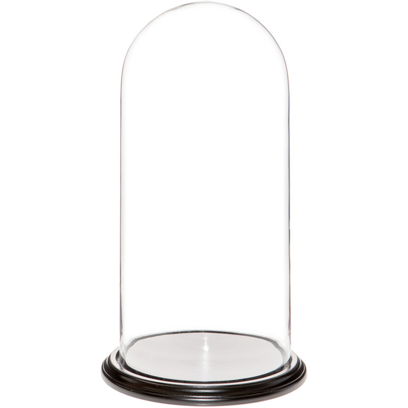 Cloche en verre Vucciria, H 23 po x l 11,75 po x P 11,75 po, Base en placage de bois noir