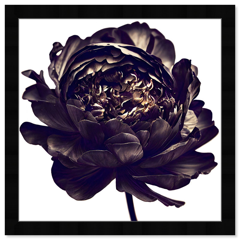 Pivoine noire - cadre photo, Cadre noir, H 26 po x l 26 po