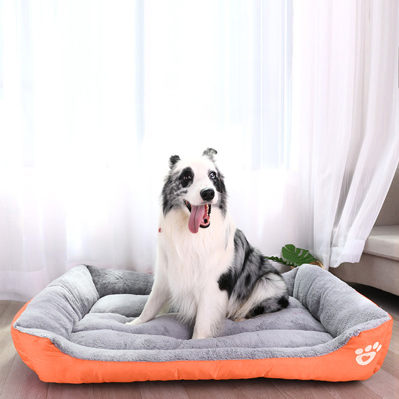 Lit pour chien Goncalves, Grand (l 37,4 po x P 29,5 po x H 5 po), Orange
