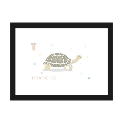 " Tortoise "