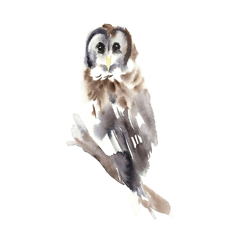 Barred Owl Impressions II - impression sur toile tendue, H 18 po x l 12 po