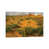Canvas selected