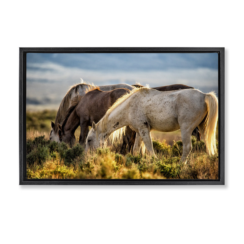Cadre flottant Equine Evening Graze, design par Tim West, H 21 po x l 31 po, Cadre flottant noir de jais