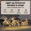 vidaXL LED Reindeers with 60 LEDs PET-1299593786