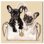 Art sur toile par Frenchie