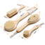 Ensemble de 4 brosses pour le corps de la douche Cheer