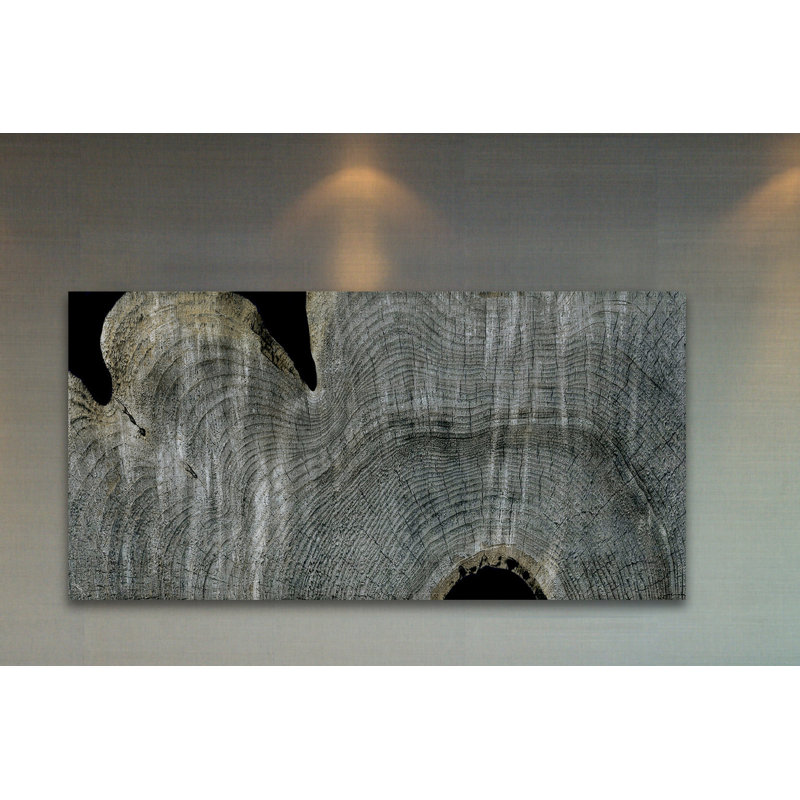 Grey Ghost I - Wrapped Canvas Print, 30 cm H x 61 cm W x 4 cm D