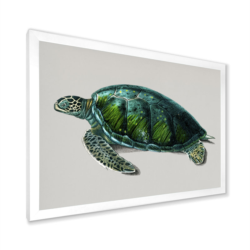 Tortue de mer rétro verte, reproduction sur toile flottante, H 12 po x l 20 po x P 1 po, Cadre photo blanc