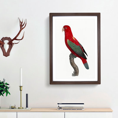 Chattering Lory by F. Levaillant - Picture Frame Painting Print