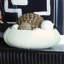 Handmade Ceramic Decorative Bowl-22273267