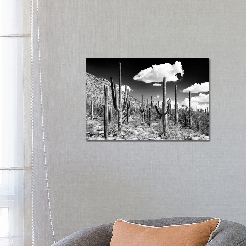 Arizona Series - Cactus Forest 1 Piece Wrapped Canvas Wall Art, 66.04 cm H x 45.72 cm W x 1.91 cm D