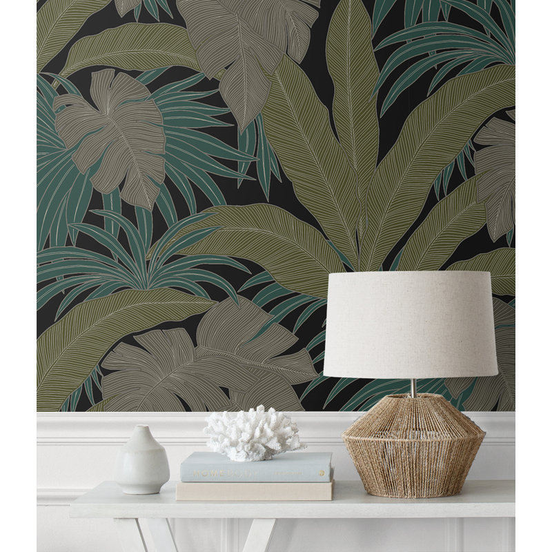 Adriannah Roll, Nuit tropicale