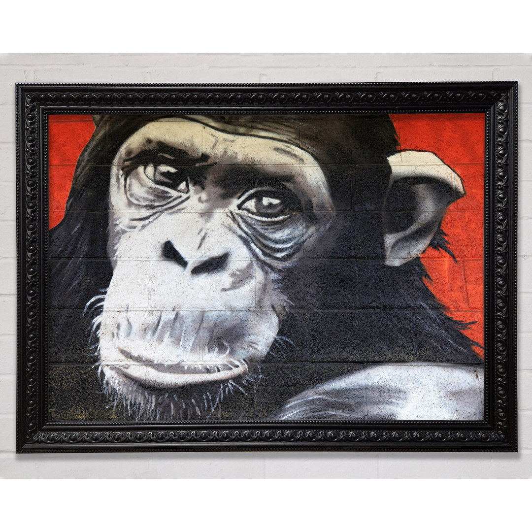 Gerahmtes Leinwandbild The Chimp