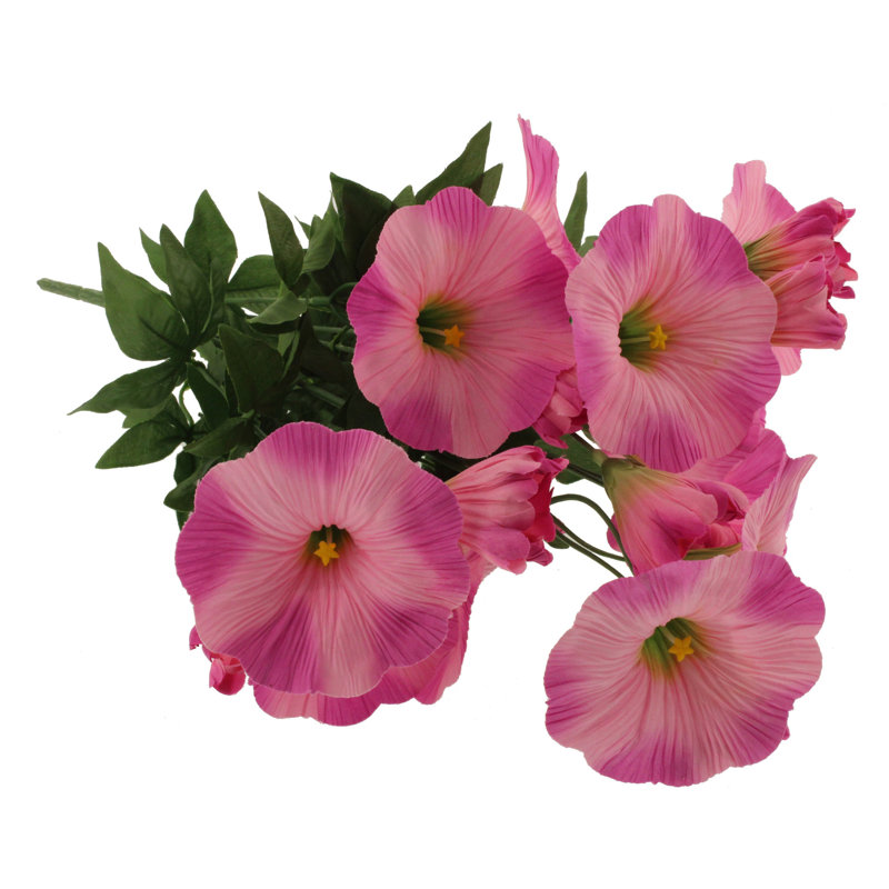 Petunia Arrangement, Pink