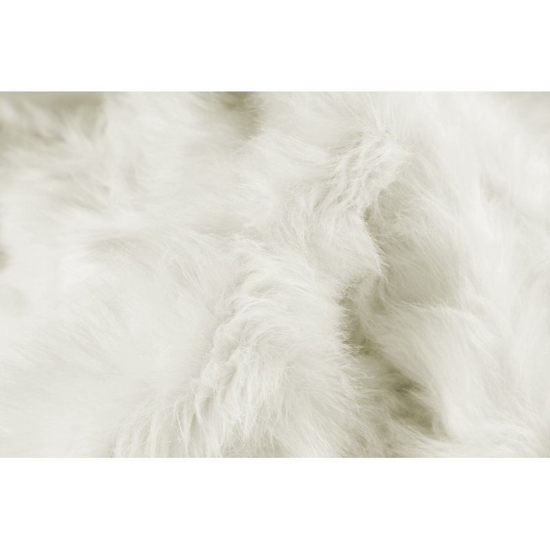 Gordon Off White Area Rug