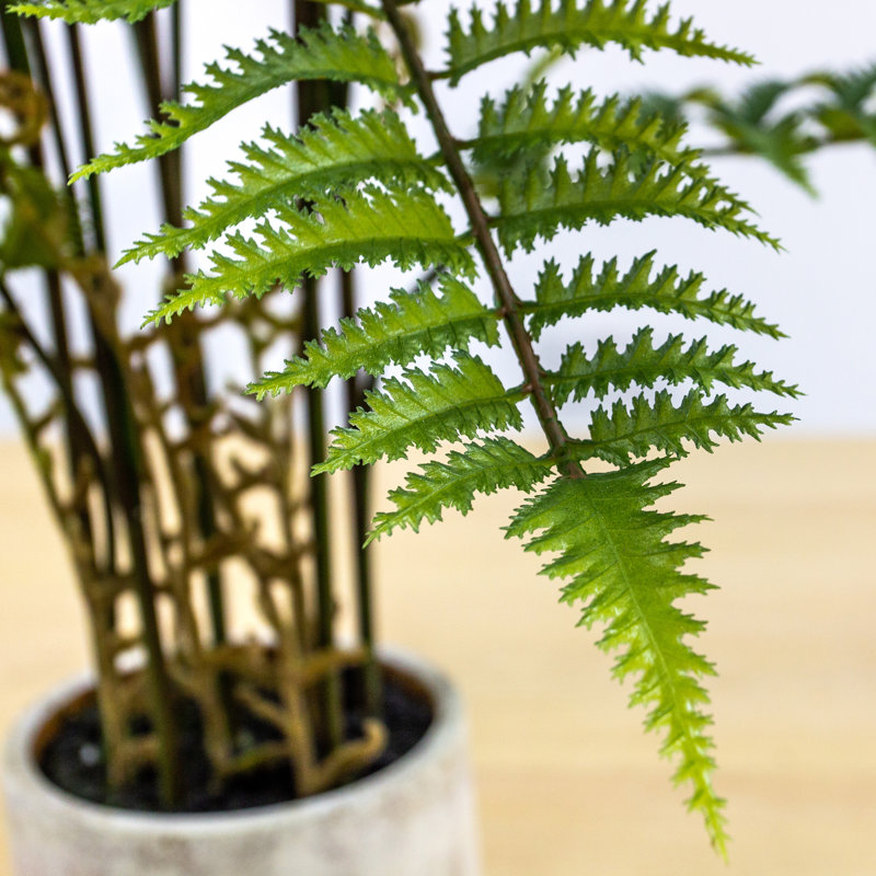 107cm Faux Fern Plant in Cement Pot