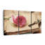 «Vintage Book Rose» sur-119679350