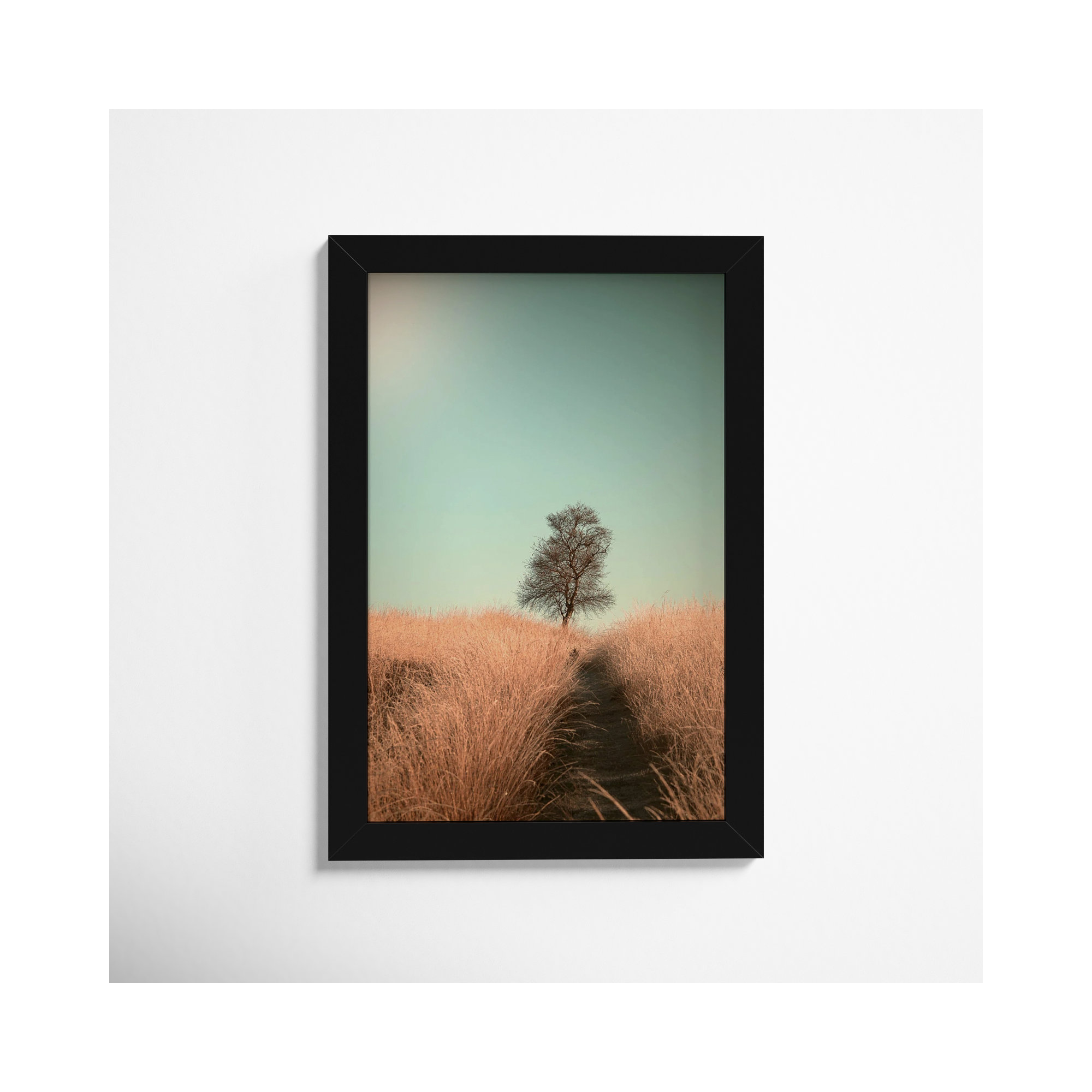Grass And Path by Jaap Van Den, 9" W x 13" H, Black