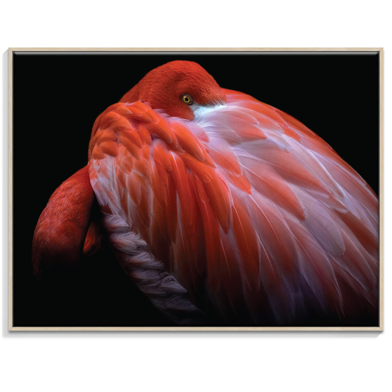 Photographers Lane - Wrapped Canvas Print, Timber, 41cm H x 51cm W