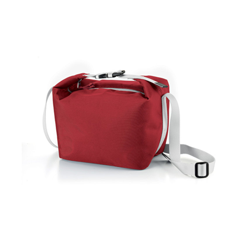 Refroidisseur à pique-nique isolé, service pour 2, H 6,1 po x l 7,9 po x P 4,7 po, Rouge