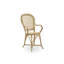 Chaise avec accoudoirs d'icônes Robert Wengler-37029993