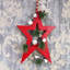 PVC No Holiday Shaped Ornament-994358232-994358234