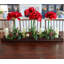 WHITE AMARYLLIS IN WOOD TRAY-2075315868