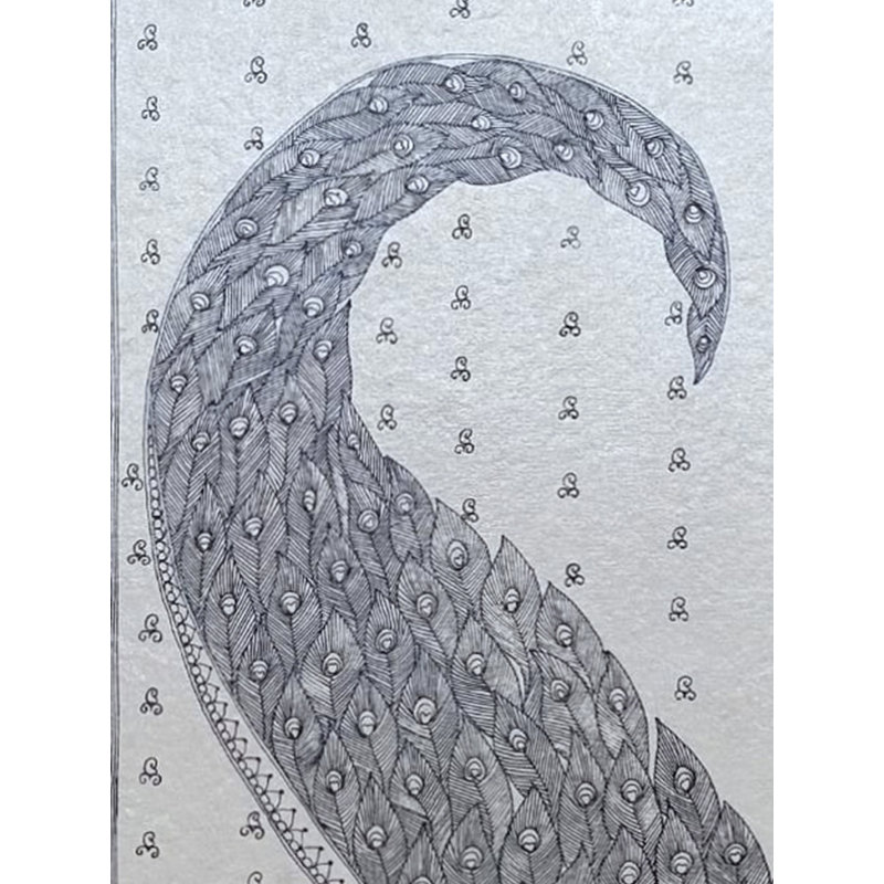 Magnifique art de plume de paon | Stylo sur papier | Par Abhilasha Raut