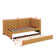 Upholstered Daybed with Trundle Sofa Bed Frame