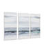 Clouded View Framed Canvas Set of 3