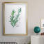 Freshly Picked II - peinture sur toile encadrée-1287031096-1287031044