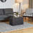 Brayan Upholstered Storage Ottoman