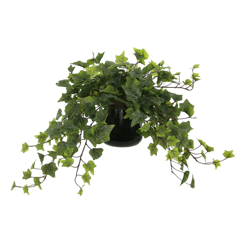 Jenner Faux Ivy Plant in Glass Vase, 13" H x 20" W x 20" D