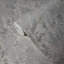 Papier peint moderne gris-or gris