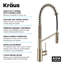 Oletto 2-in-1 Pull-Down Single Handle Kitchen Faucet-79074721