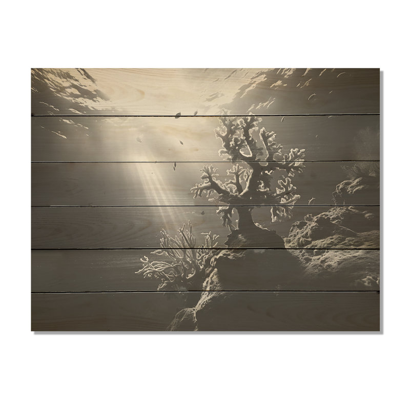 Black And White Coral Artistic Ocean Ballet - Coastal Coral Under Water Wood Wall Art On Natural Pine Wood, 10" H x 20" W