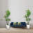 Dracaena Trees Artificial Indoor, 5FT Tall Faux Tree