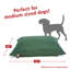 Pet Bed-2780278-2780273